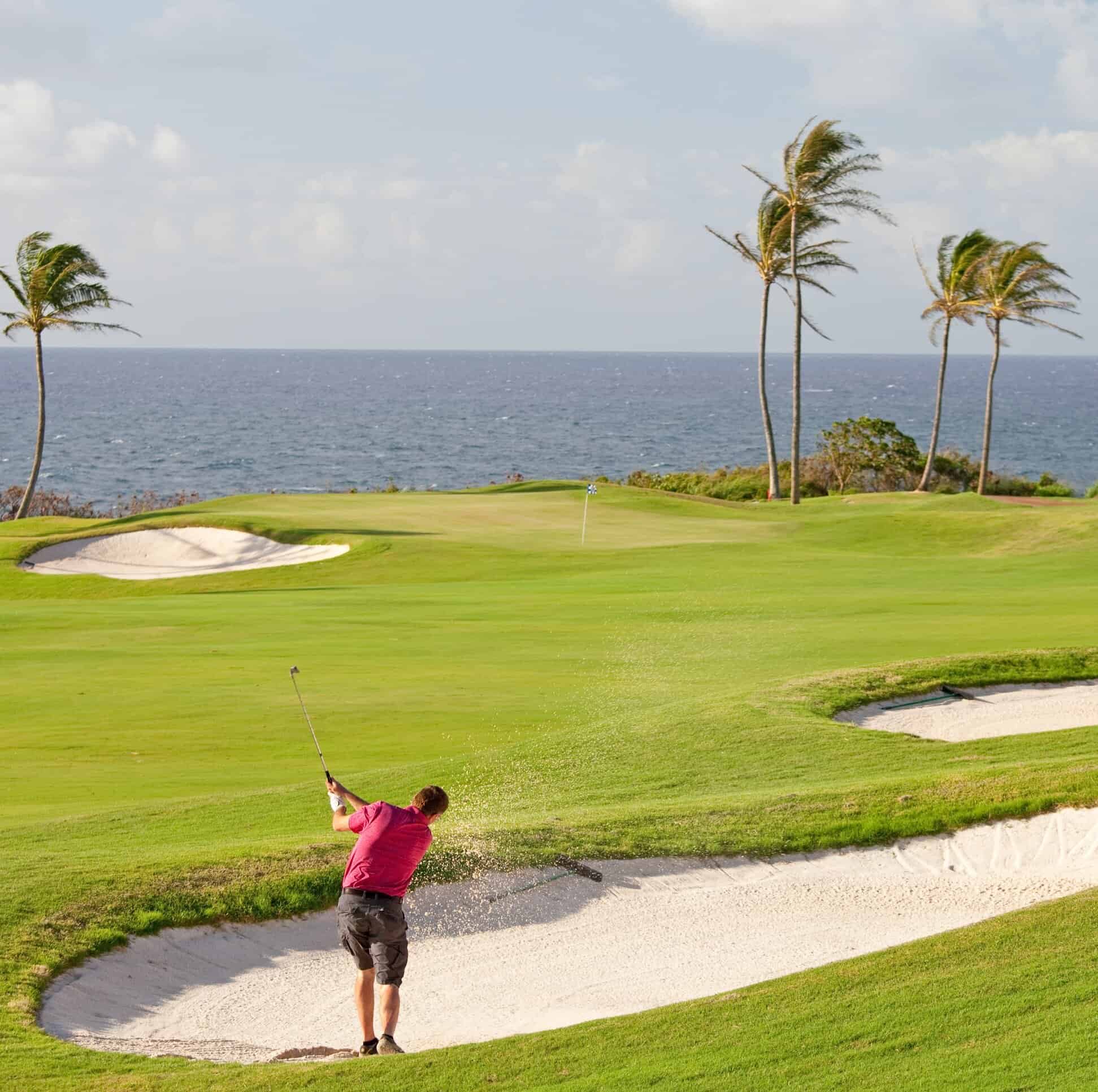 A man swings a golf club on a green, surrounded by palm trees under a clear blue sky.