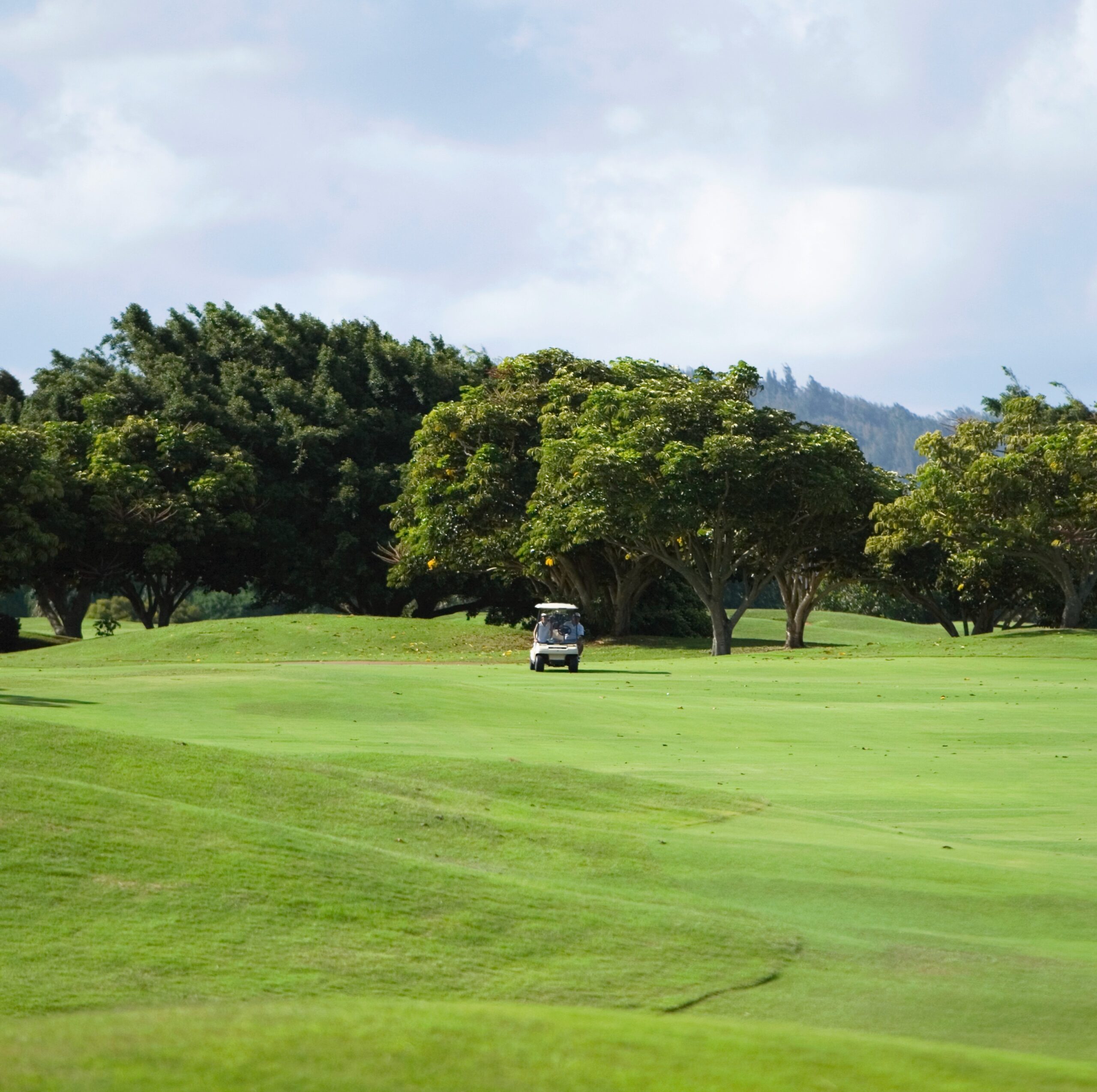 A golf course featuring a golf cart parked on the lush green grass of the fairway.